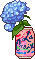 a blue hydrangea in a can of pink lacriox